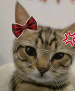 ответы на вопросы