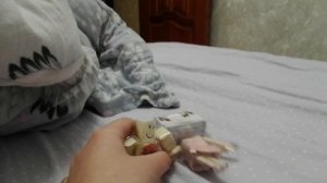 VID_20251219_163435.mp4