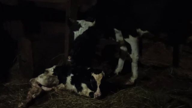 15 мая 2020 г.(5) смотреть онлайн