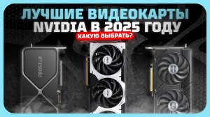 Лучшие видеокарты NVIDIA в 2025 году  — Какая видеокарта NVIDIA реально стоит своих денег?