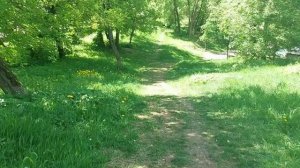 Участок земли в парке исключен из особо охраняемой природной зоны...а тротуар там ложить не хотят