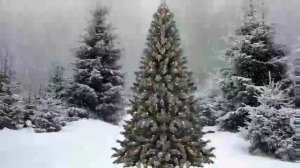 МОИМ ПОДПИСЧИКАМ