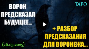 ВОРОН ПРЕДСКАЗАЛ БУДУЩЕЕ...  + РАЗБОР ПРЕДСКАЗАНИЯ ДЛЯ ВОРОНЕЖА (ТАРО. 26.05.2025)