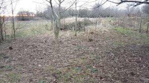 Огородные дела в декабре ! Как я делала петушки ! Красивый закат! Юг России🌴