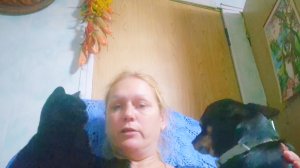 Деревенская жизнь за городом Алтая,сегодня Лазанья для собак