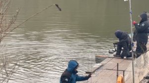 Спортзона.Поимка Форели