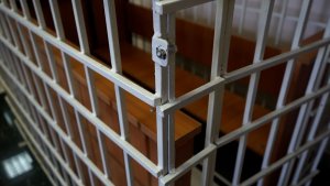 ДЕБОШИРА ЗА РЕШЁТКУ | Новости Камчатки | Масс Медиа