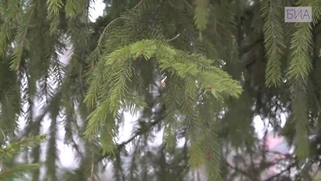 «Новости 19:32» 19.12.2025