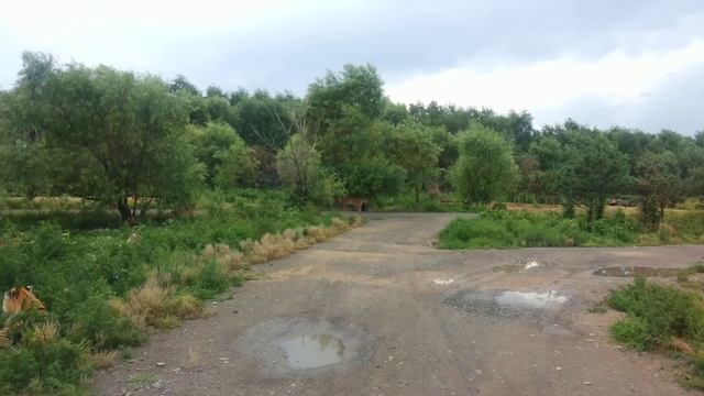 SAFARI PARK HARBIN part 3