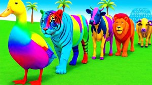 Мультики про диких животных. Яркие животные: горилла и бегемот. Смотреть онлайн Мультики для детей.