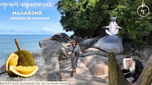 Пенанг Angsana Teluk Bahang Penang. Полный обзор отеля в Малайзии