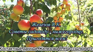 Железов В.К. Советы садоводу - нижегородцу. Пригодятся всем!