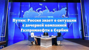 Путин: Россия знает о ситуации с дочерней компанией Газпромнефти в Сербии