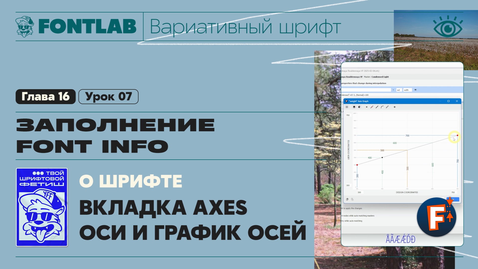 ДВШ 16-07 Заполнение Font info – Вкладка Axes – Оси и График осей – Урок Fontlab