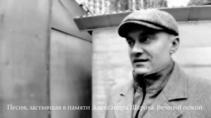 Песня, посвященная светлой памяти Александра Шарова, заводчика андижанских голубей. #голуби