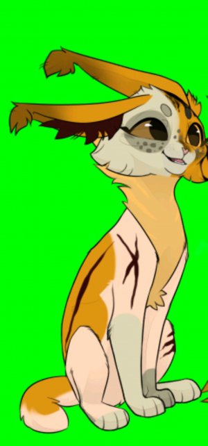 Отвечаю на ваши вопросы!