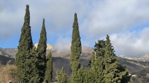 Песенная Медитации 🎧🎻 19.12.2024