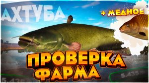 #ПРОВЕРКА ФАРМА | Сом на АХТУБЕ | Карасекарп на МЕДНОМ!