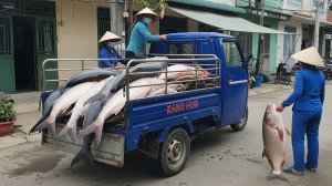 🐟💥 КУПИЛ ГИГАНТСКУЮ РЫБУ по 12 КГ! Трёхколёсный грузовик ломится — везём улов на рынок!