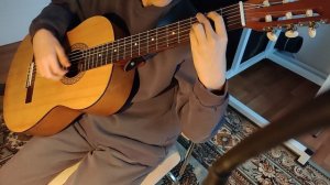 Gypsy girl Hochweber, Хаким