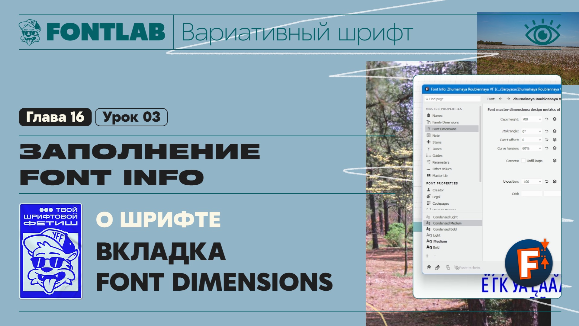 ДВШ 16-03 Заполнение Font info – Вкладка Font Dimensions – Урок Fontlab