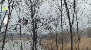 Военкор ЯПервого выехала в зону СВО с гуманитарной миссией «Быть добру»