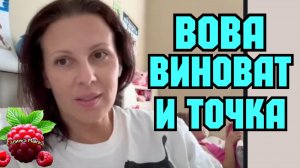 Big Big Family in the USA _Вова виноват и точка _Обзор _Биг Биг Фэмэли _Funny 4 _Лиса в Америке