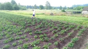 video_2025-07-25_11-36-31