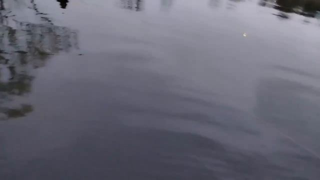 19.12.25 г. РК Волна. смотреть онлайн