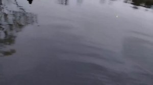 19.12.25 г. РК Волна.