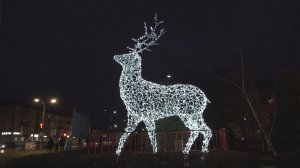 Программа «Акценты» //19.12.2025