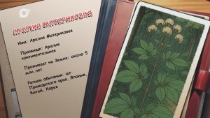 Агент биосферы / Аралия Материковая / 22.12.25