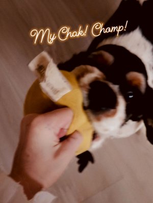 Домашний паркур(паркур дома)