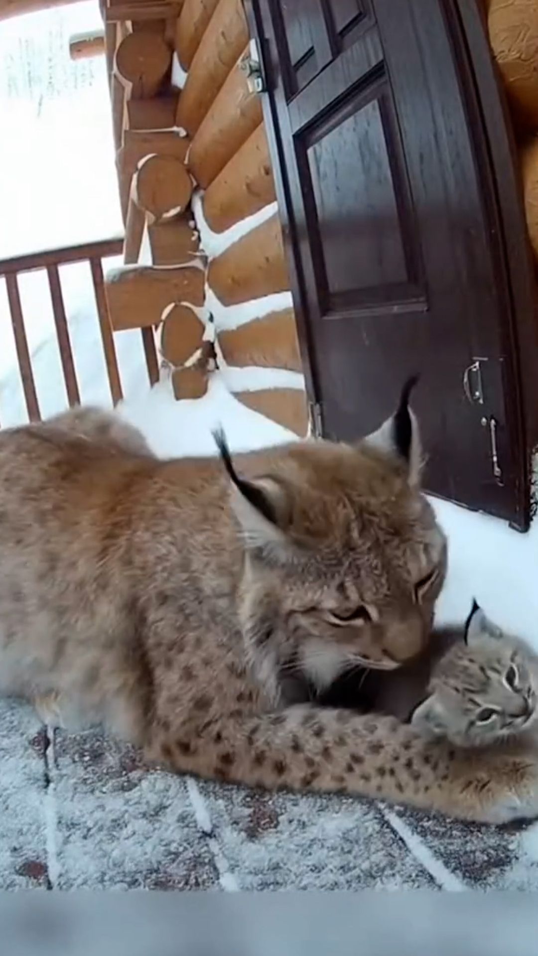 Повезло! смотреть онлайн