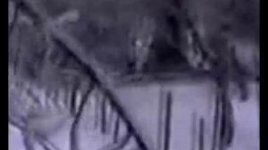 КОМЕДИЯ РОК  Дождь в Декабре!))