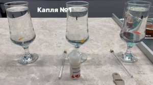 Влияние е-жидкости на водный организм, а именно рыб вида Danio-rerio.