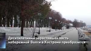 Десятилетиями зараставшая часть набережной Волги в Костроме преобразится