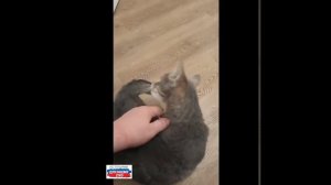 Денис всегда в наших сердцах❤️ Помним тебя , Zabota, родной.