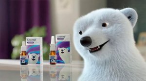 eebfc30dd0d11f0b807a61bd34ecbac