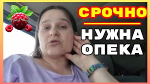 Бровченко _Срочно нужна Опека _Обзор _Семья Бровченко _Колесниковы _Деревенский дневник