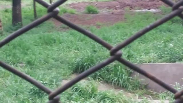 SAFARI PARK HARBIN part 5