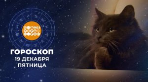 Гороскоп на 19 декабря. Доброе утро. Фрагмент выпуска от 19.12.2025