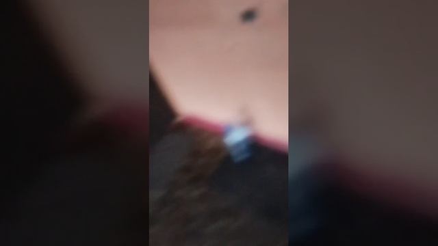 Для Авито смотреть онлайн