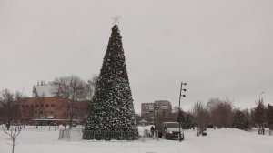 Раз, два, три – ёлочка, гори!