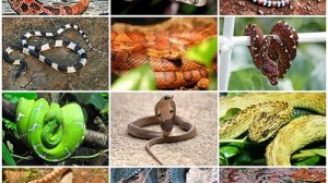 НОВАЯ ЗАПИСЬ  : Отзывается о людях негативно. Промолчать о таком невозможно  ПОДПИШИСЬ