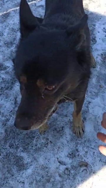 15 мая 2020 г.(1) смотреть онлайн