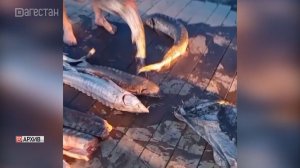 Двух браконьеров поймали за незаконным выловом осетровых в Каспийском море