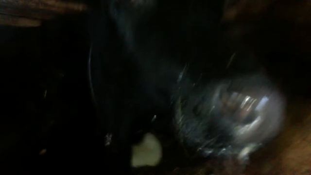 Родился Адам 27.03.2016 смотреть онлайн