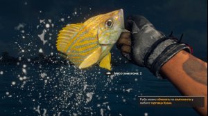 Часть 13. Порыбачил и уплыл. Far Cry 6. Жизнь игра
