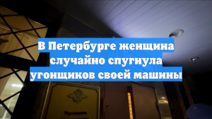 В Петербурге женщина случайно спугнула угонщиков своей машины